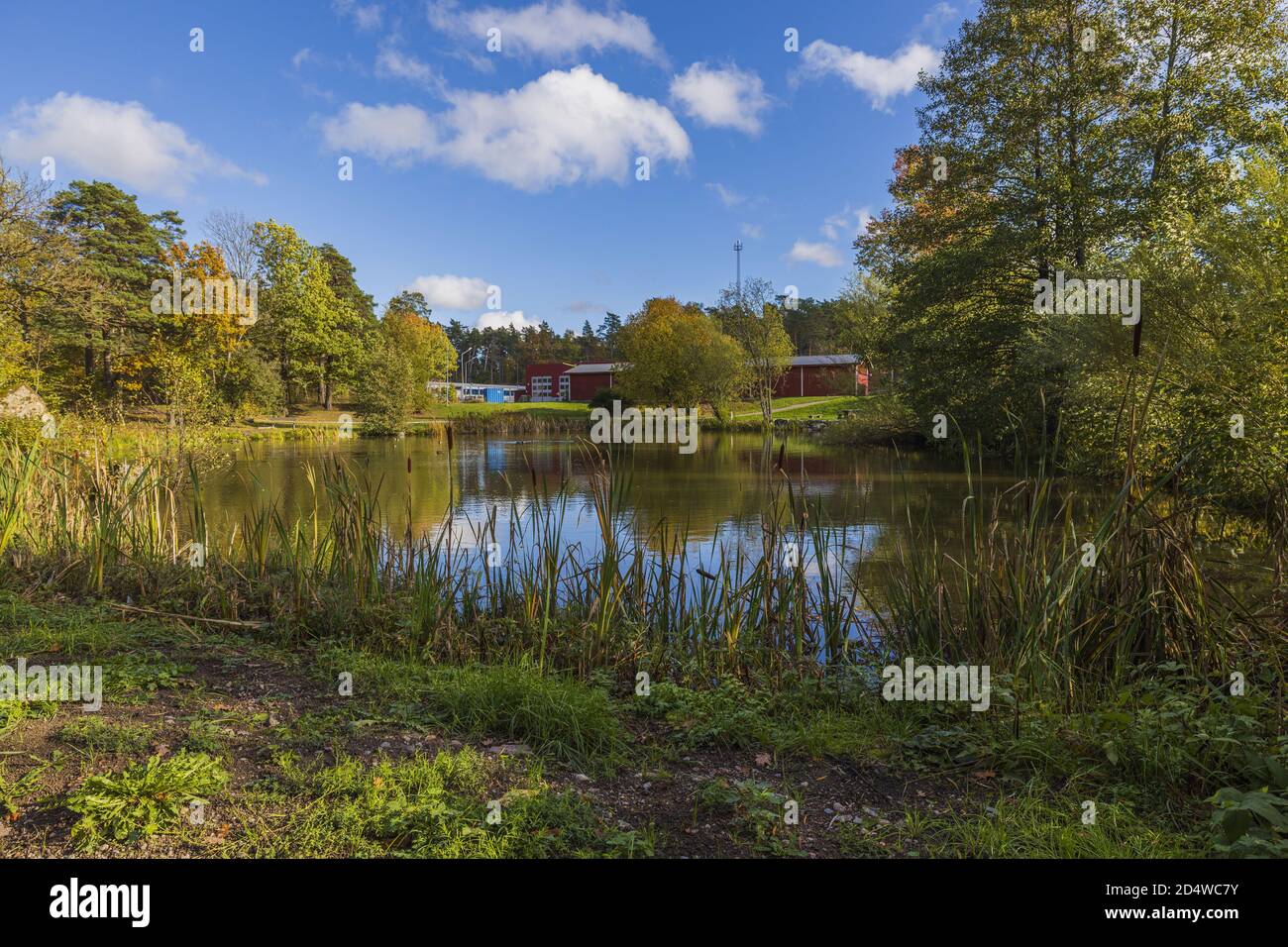 Herrliche Aussicht auf die Naturlandschaft an ruhigen Herbsttag. Seeufer mit Ubalbäumen und Pflanzen, die sich in kristallklarem Spiegelwasser spiegeln. Schöner Stockfoto