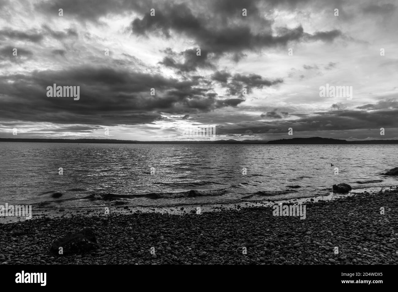 Dunkle Wolken hängen bei Sonnenuntergang über dem Puget Sound. Foto aufgenommen in West Seattle, Washington. Stockfoto