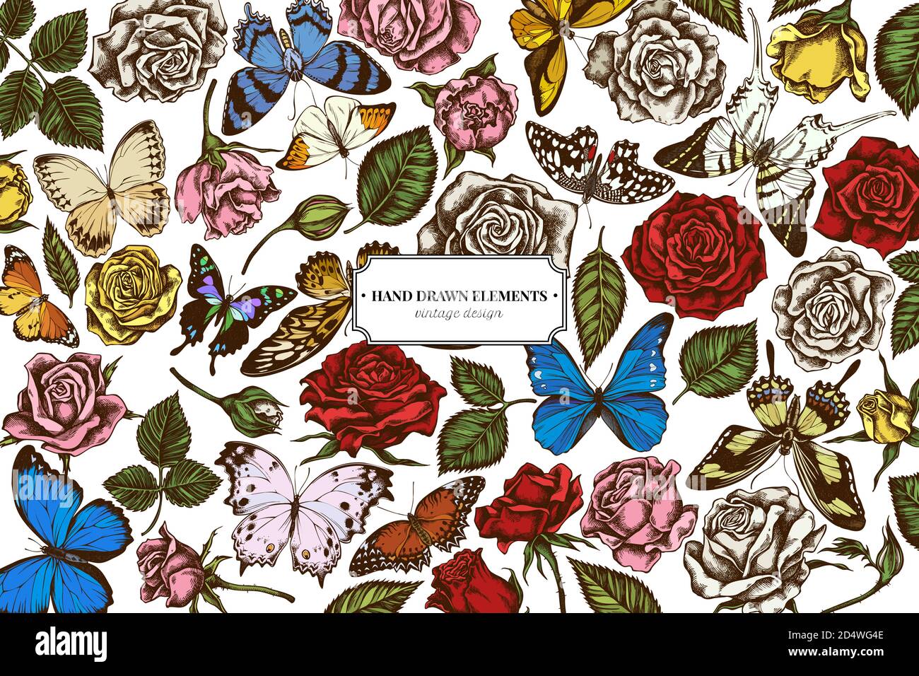 Florales Design mit farbigem menelaus blauem Morpho, riesigem Schwertschwanz, blauem Morpho, Zitronenschmetterling, roter Schnürung, afrikanischem Riesenschwalbenschwanz, alcides Stock Vektor