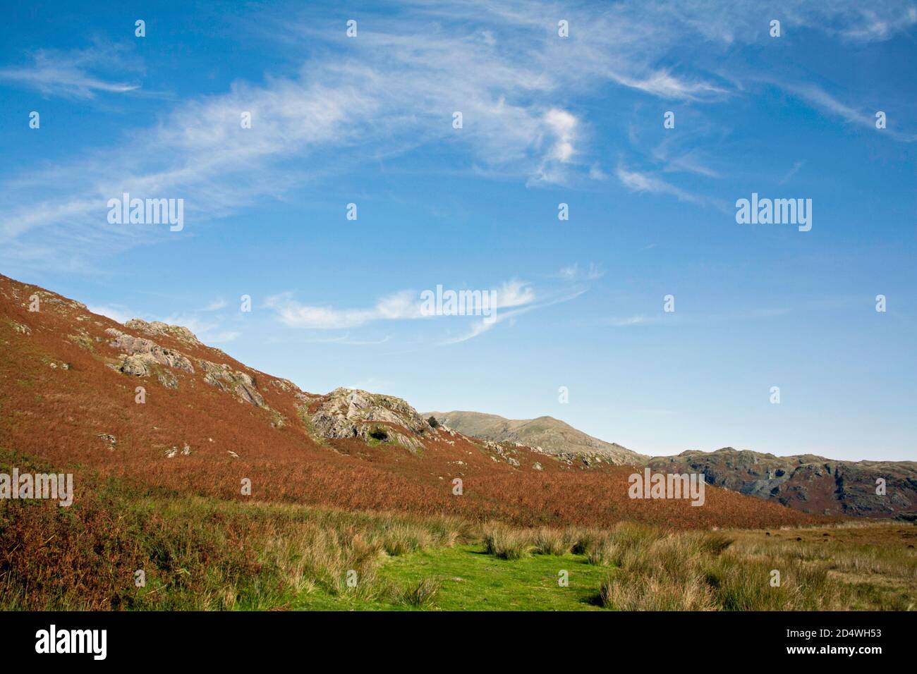 Timley Knott an den Südhängen des Alten Mannes Von Coniston Coniston der Lake District National Park Cumbria England Stockfoto