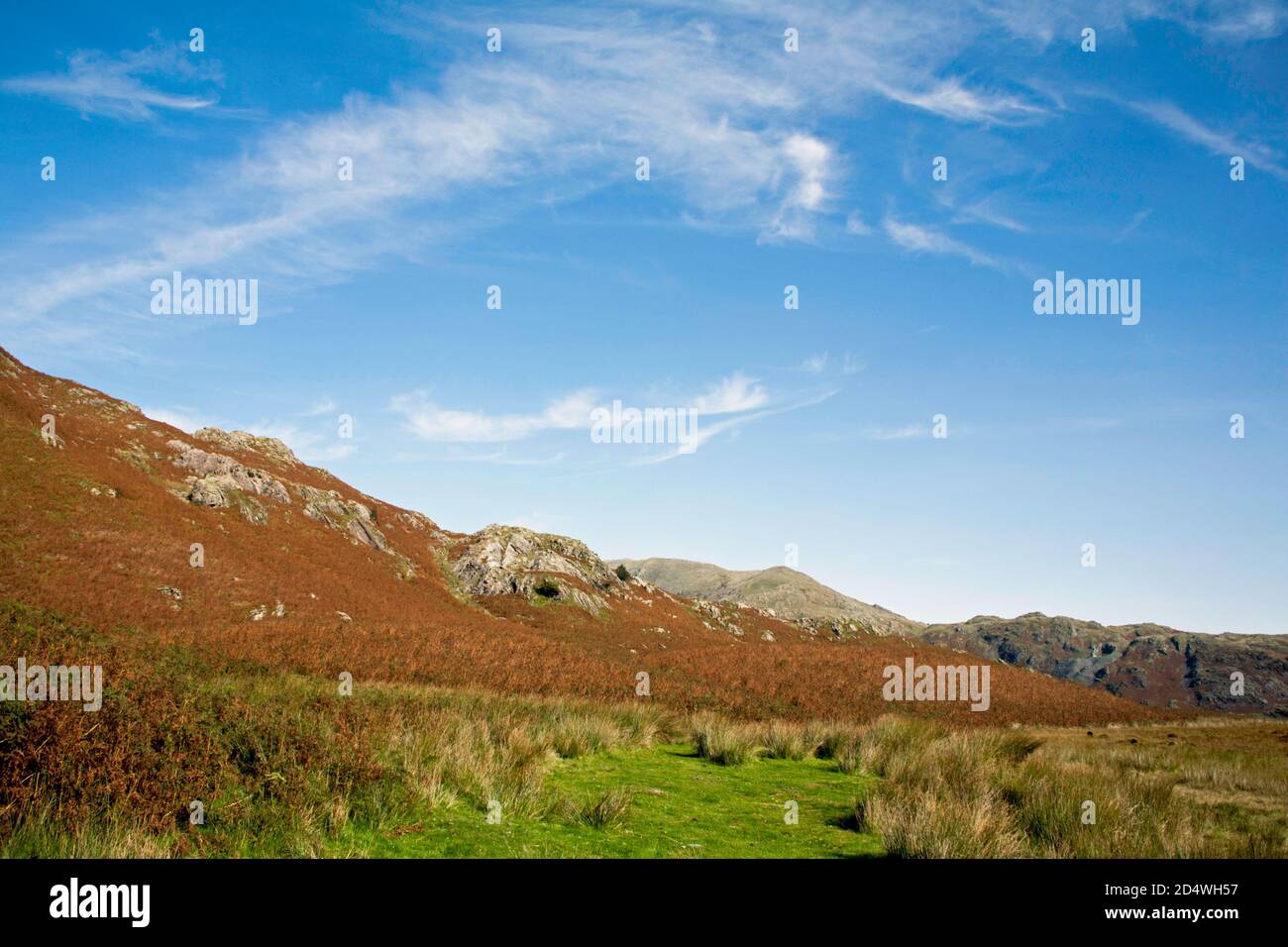Timley Knott an den Südhängen des Alten Mannes Von Coniston Coniston der Lake District National Park Cumbria England Stockfoto