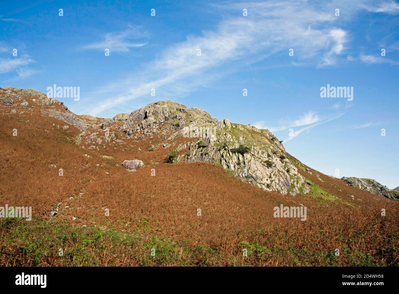 Timley Knott an den Südhängen des Alten Mannes Von Coniston Coniston der Lake District National Park Cumbria England Stockfoto