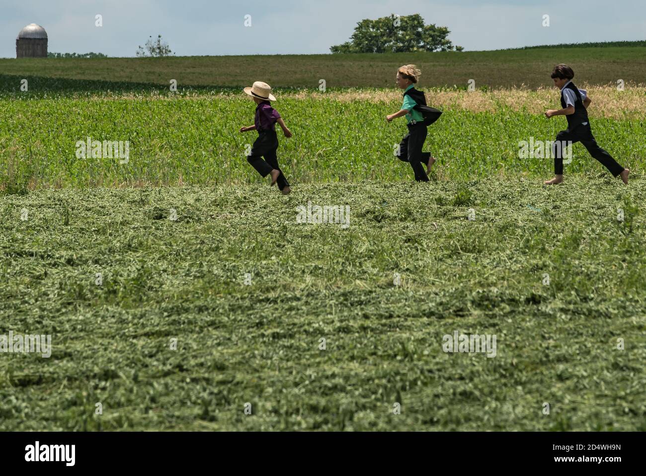 Junge Amish Jungen laufen durch Felder. Lancaster County, PA. USA Stockfoto
