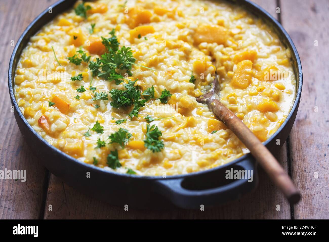 Kürbis- und Maisrisotto mit Ricotta, Parmesan und Petersilie Stockfoto