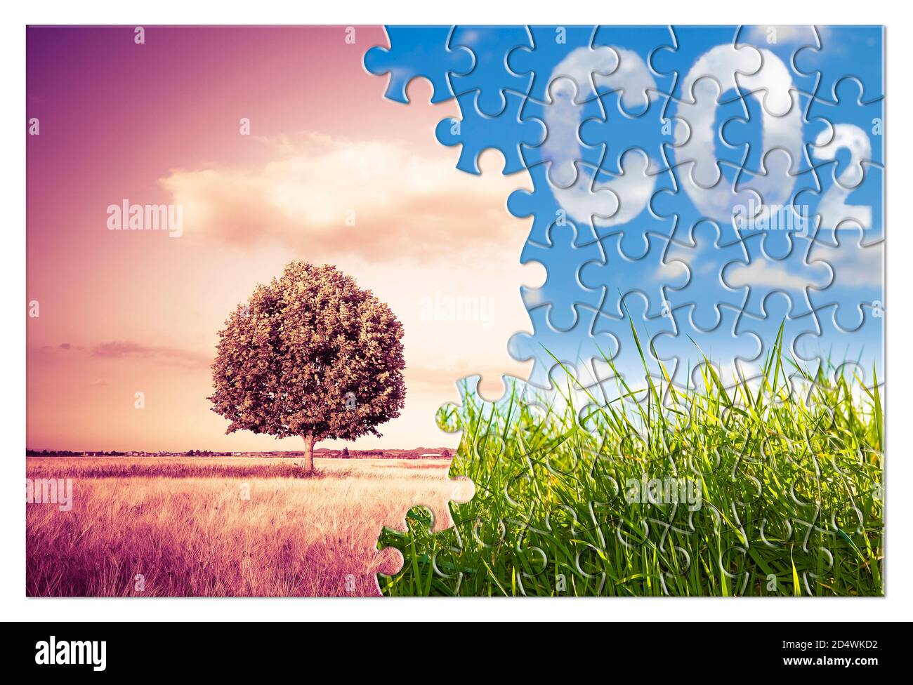 Reduktion der CO2-Präsenz in der Atmosphäre - Puzzle-Konzeptbild gegen ein grünes Wildgras mit einem isolierten Baum in einem Weizenfeld. Stockfoto