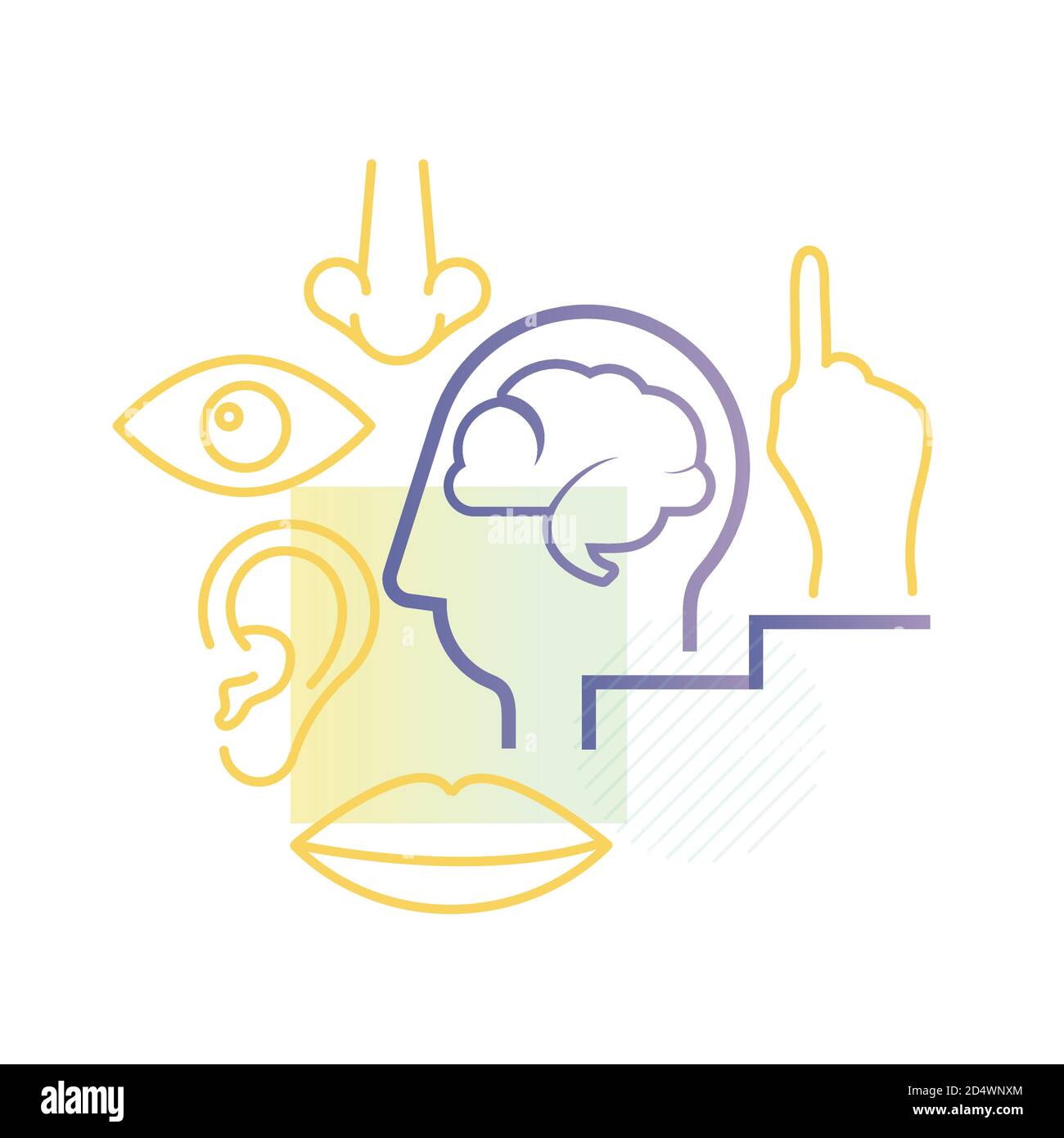 Fünf grundlegende Sinne - Symbol als EPS 10-Datei Stock Vektor