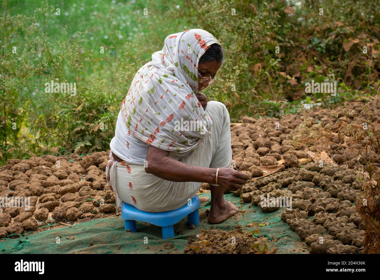 Khirai Midnavore, Westbengalen, Indien - 11. Oktober 2020 : eine alte Frau, die Kuhmistkuchen für die Verwendung als Kochbrennstoff macht. Stockfoto