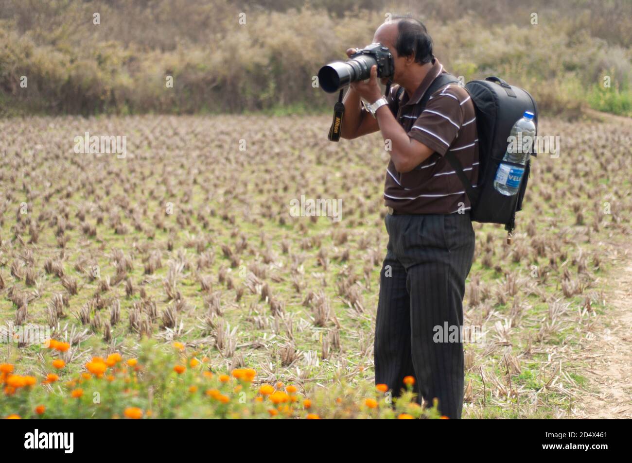 Khirai Midnavore, Westbengalen, Indien - 11. Oktober 2020 : ein Fotograf, der in einem Blumenfeld fotografiert. Stockfoto