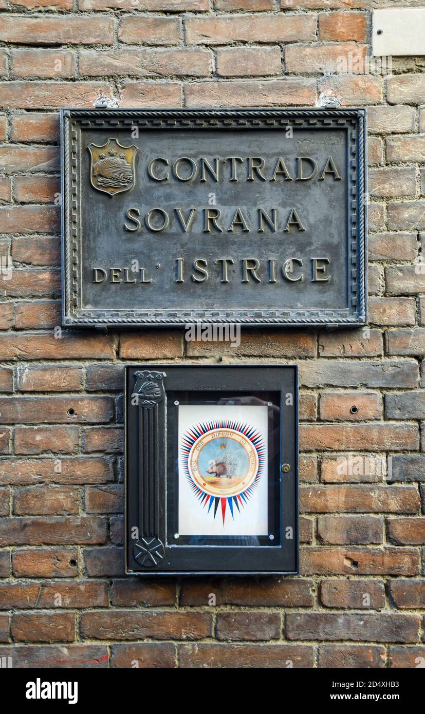 Wappen und Zeichen der Contrada Sovrana dell'Istrice an der Fassade des Hauptsitzes in der Via Camollia, historisches Zentrum von Siena, Toskana, Italien Stockfoto