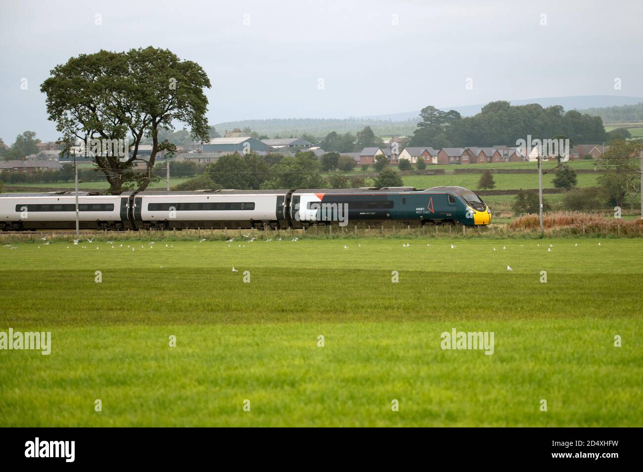 Avanti West Coast Penolino, 390-045, elektrischer Hochgeschwindigkeitszug in Richtung Süden zwischen Carlisle und Penrith Stockfoto