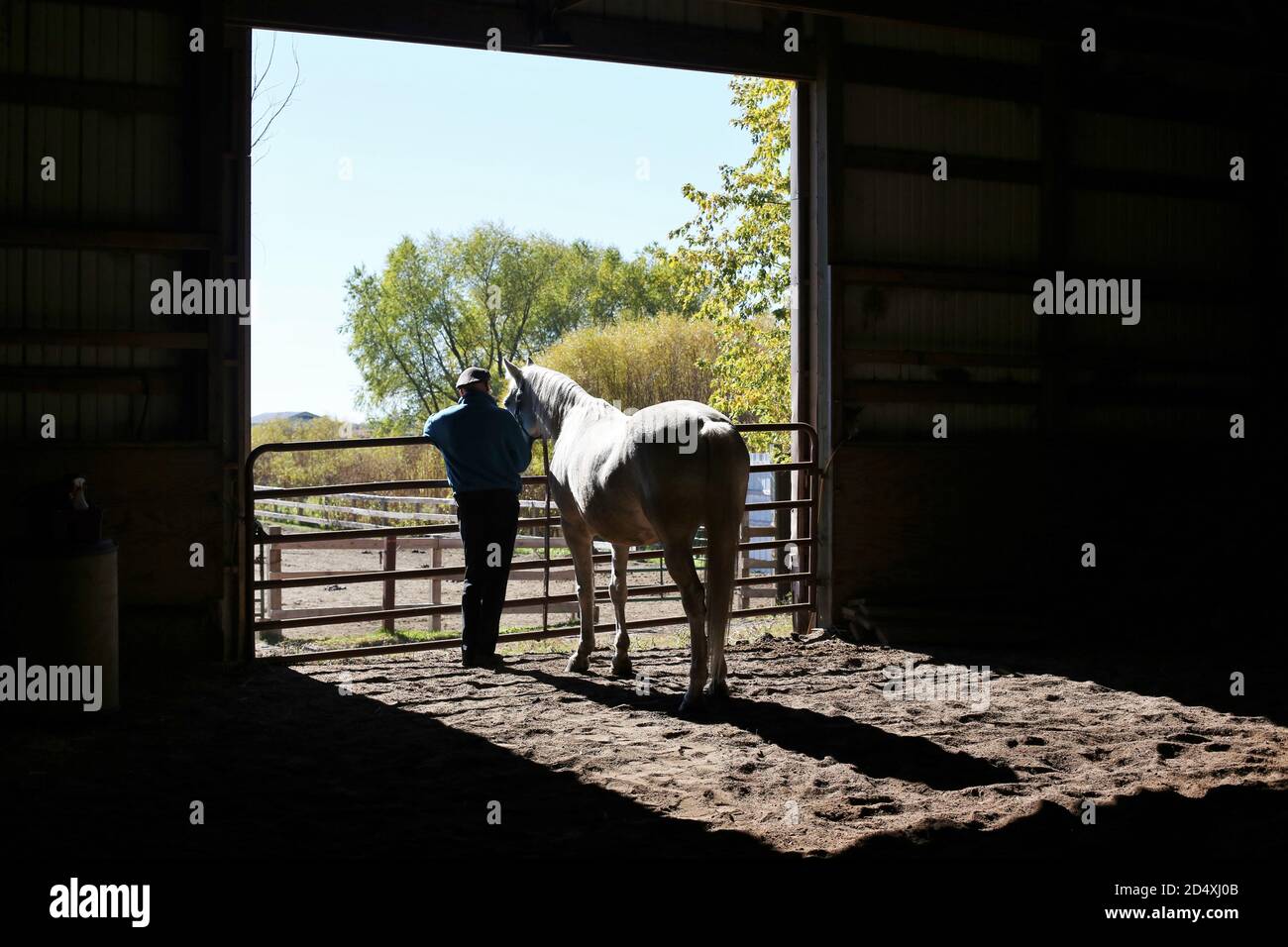 Ein Mann, der mit einem Pferd steht und durch eine Tür in einer Scheune schaut. Stockfoto