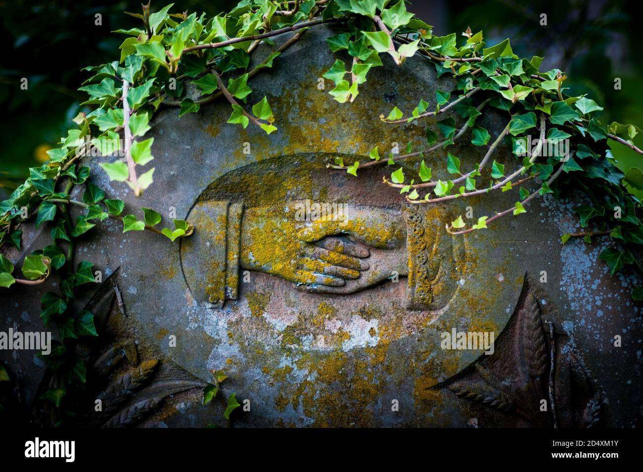 Ein Grabstein mit der Gravur eines Handshake bedeckt Flechten und Efeu Stockfoto