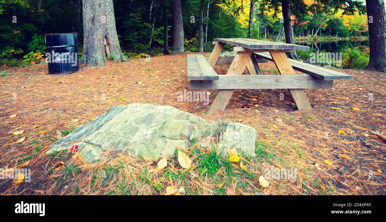 Holz Picknicktisch mit getäfelten Herbstblättern und Bäumen im Hintergrund. Stockfoto