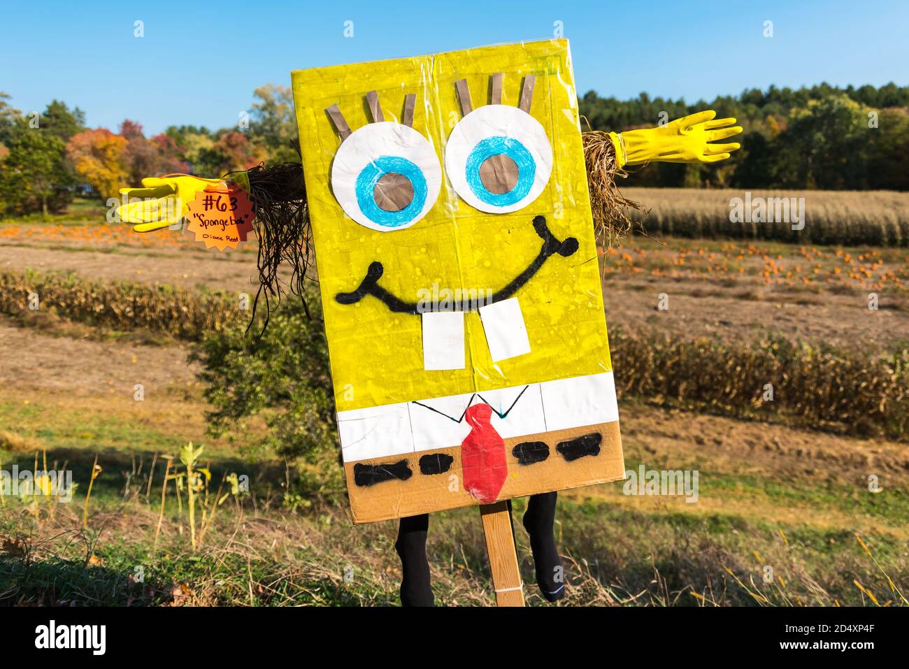 SpongeBob Squarepants Charakter bei Cucurbit Farm Scarecrow Contest 2020  Stockfotografie - Alamy