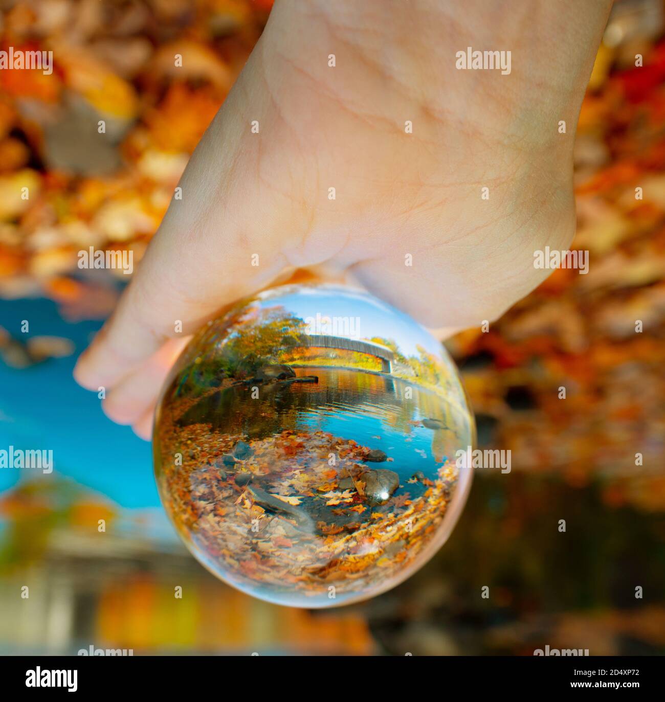 Crystal Ball in einer Handfläche eingebettet, spiegelt eine überdachte Brücke in Maine. Stockfoto