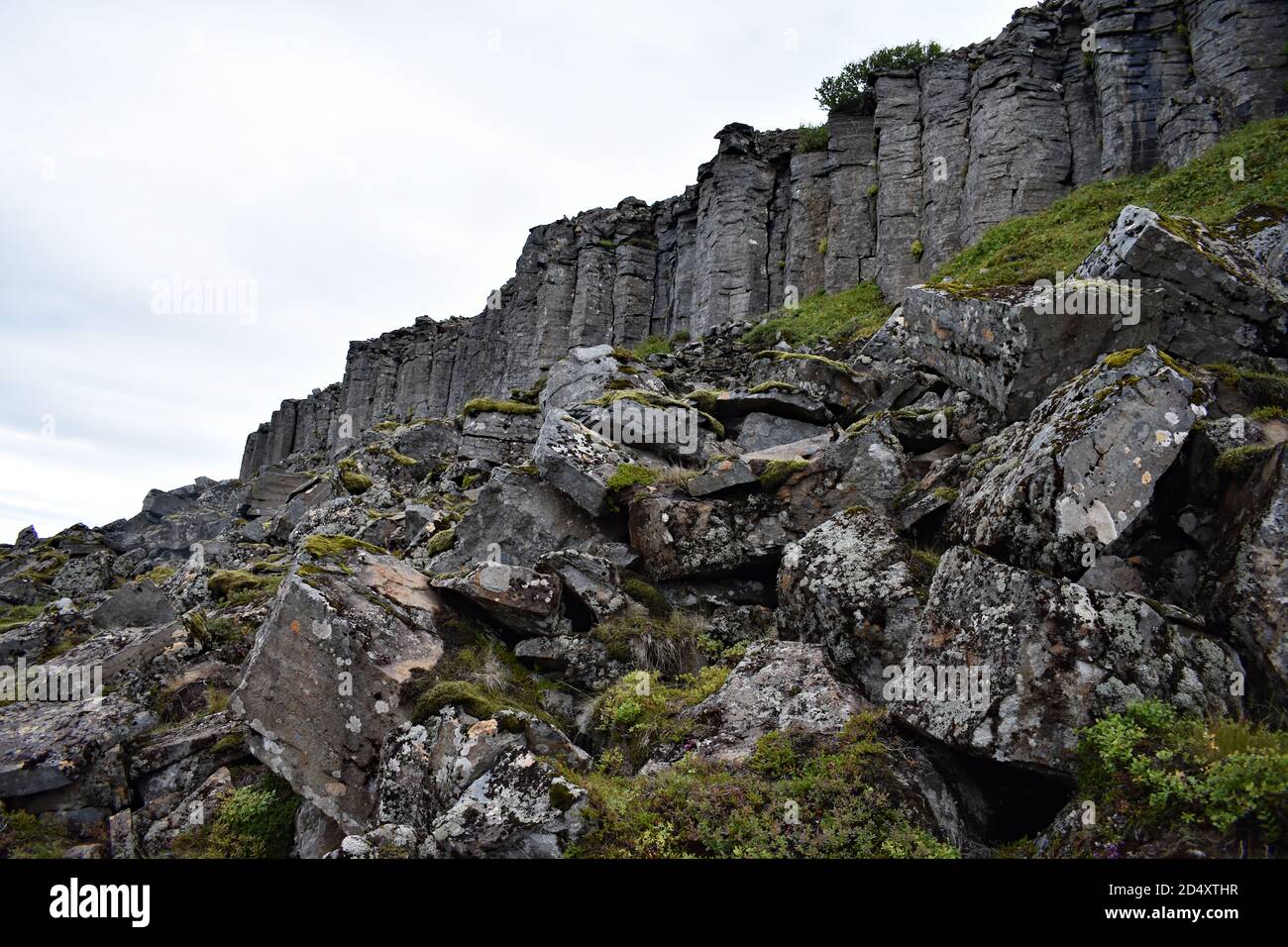 Die sechseckigen schwarzen Lavasteinsäulen steigen aus dem Boden an den Gerðuberg Cliffs (Gerduberg), Snæfellsnes Peninsular in Westisland. Stockfoto