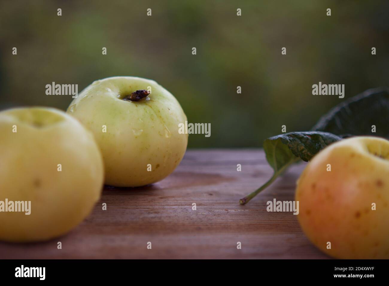 Äpfel mit Wassertropfen auf dem rustikalen Holztisch in Der Garten Stockfoto