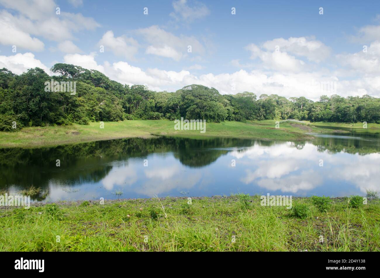 Typische üppige Landschaft des Chagres National Park rund um die Madden See Stockfoto