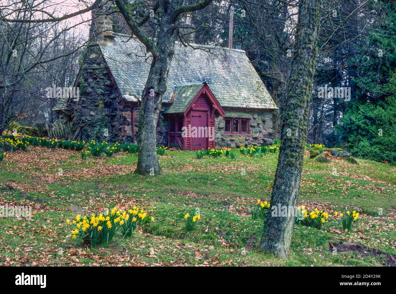 Woodland Cottage Stockfoto
