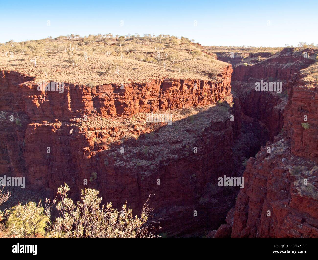 Spinifex-bedeckte Eisenkelfelsen oberhalb der Joffre Gorge vom Oxers Lookout, Karijini National Park, Western Australia Stockfoto