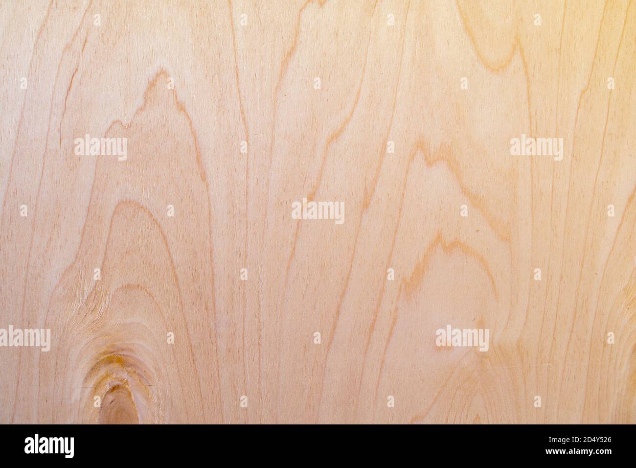 Beige braun weiße Oberfläche aus Sperrholz Blatt mit Holz Holzstruktur mit vertikalen Wellen und Kurven, natürliche organische abstrakte Holz Hintergrund Stockfoto