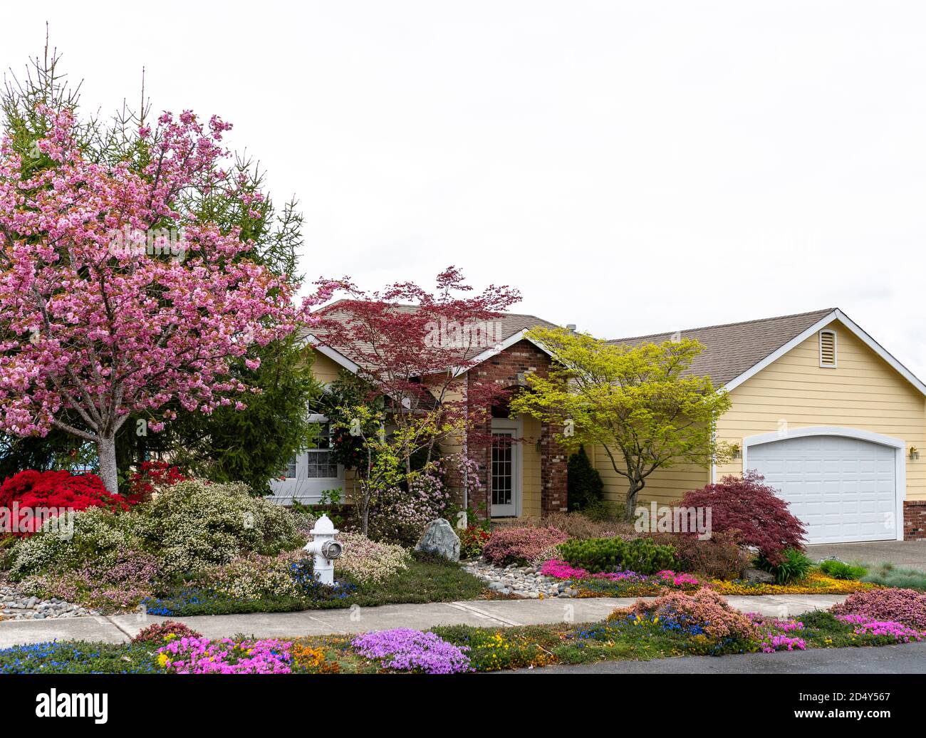 Einfamilienhaus in Amerika mit einem natürlichen Landschaftsgarten Im Frühling Stockfoto