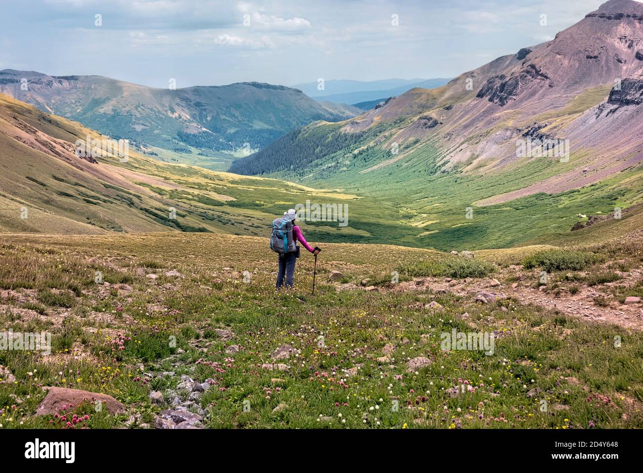 Wanderung durch Abschnitt 23 des 485 Mile Colorado Trail, Colorado Stockfoto