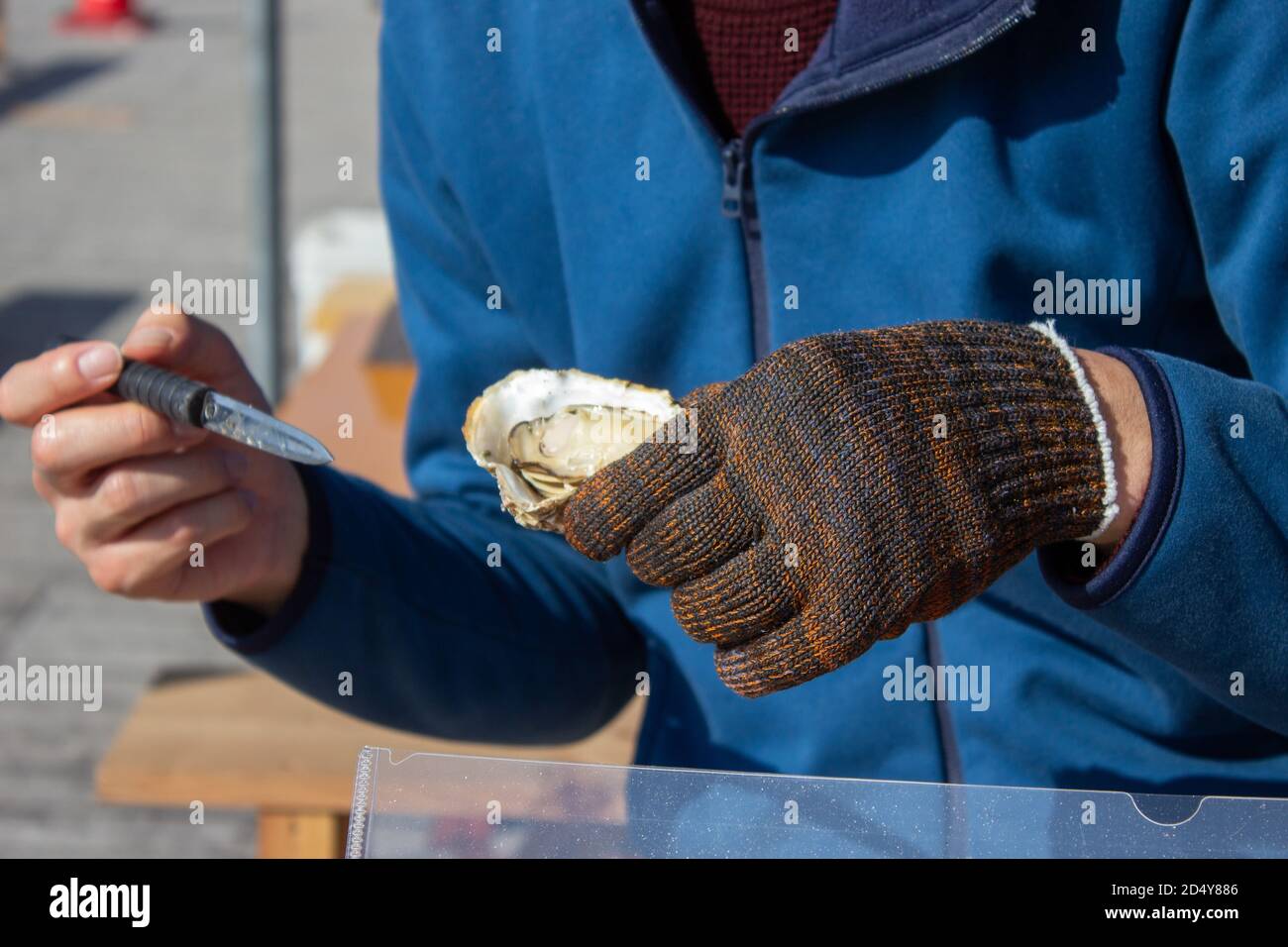 Eine Auster in der Hand zu essen. Stockfoto