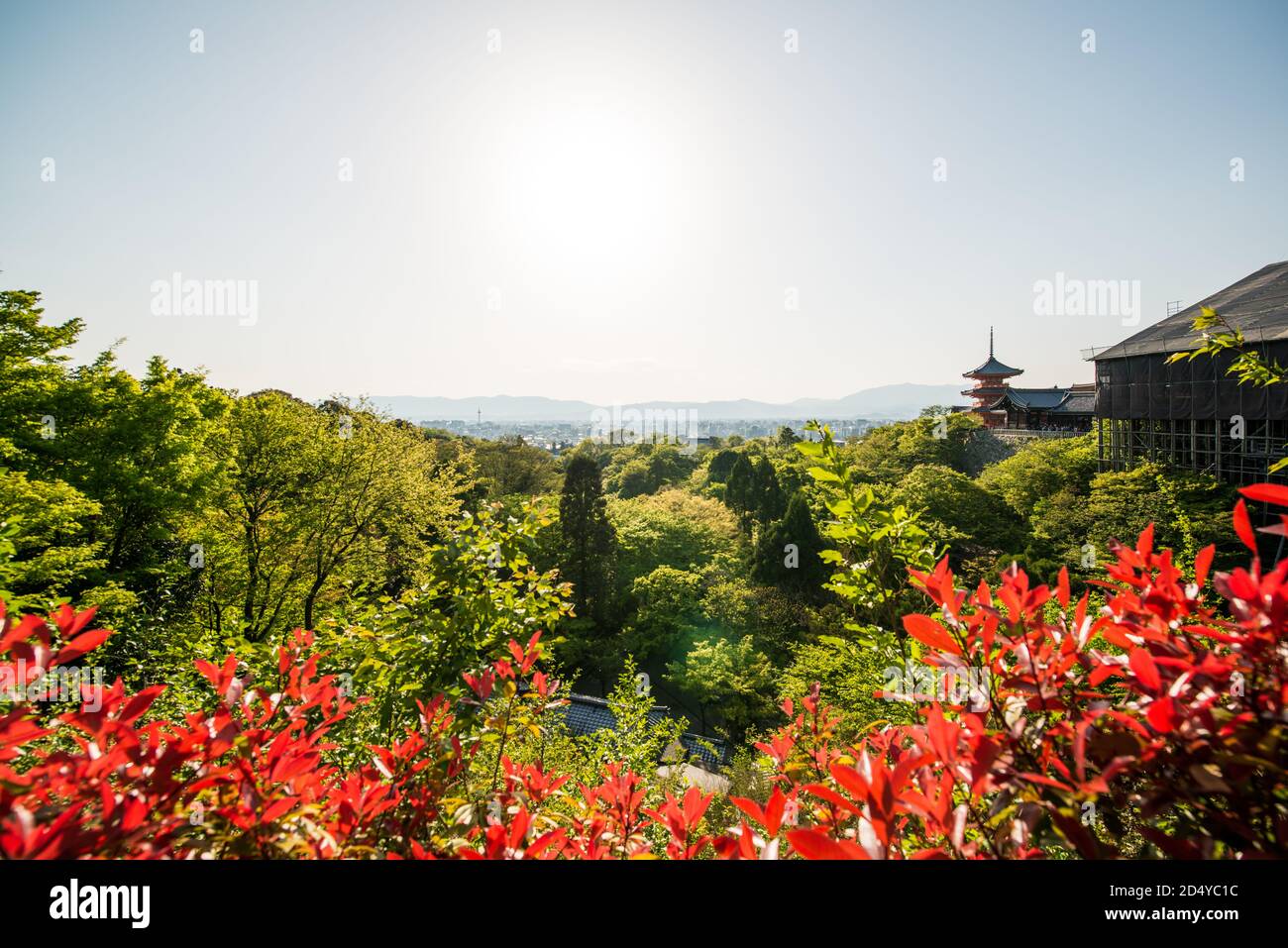 Ein Blick auf Kyoto vom Kiyomizu-dera Tempel, Kyoto, Japan Stockfoto