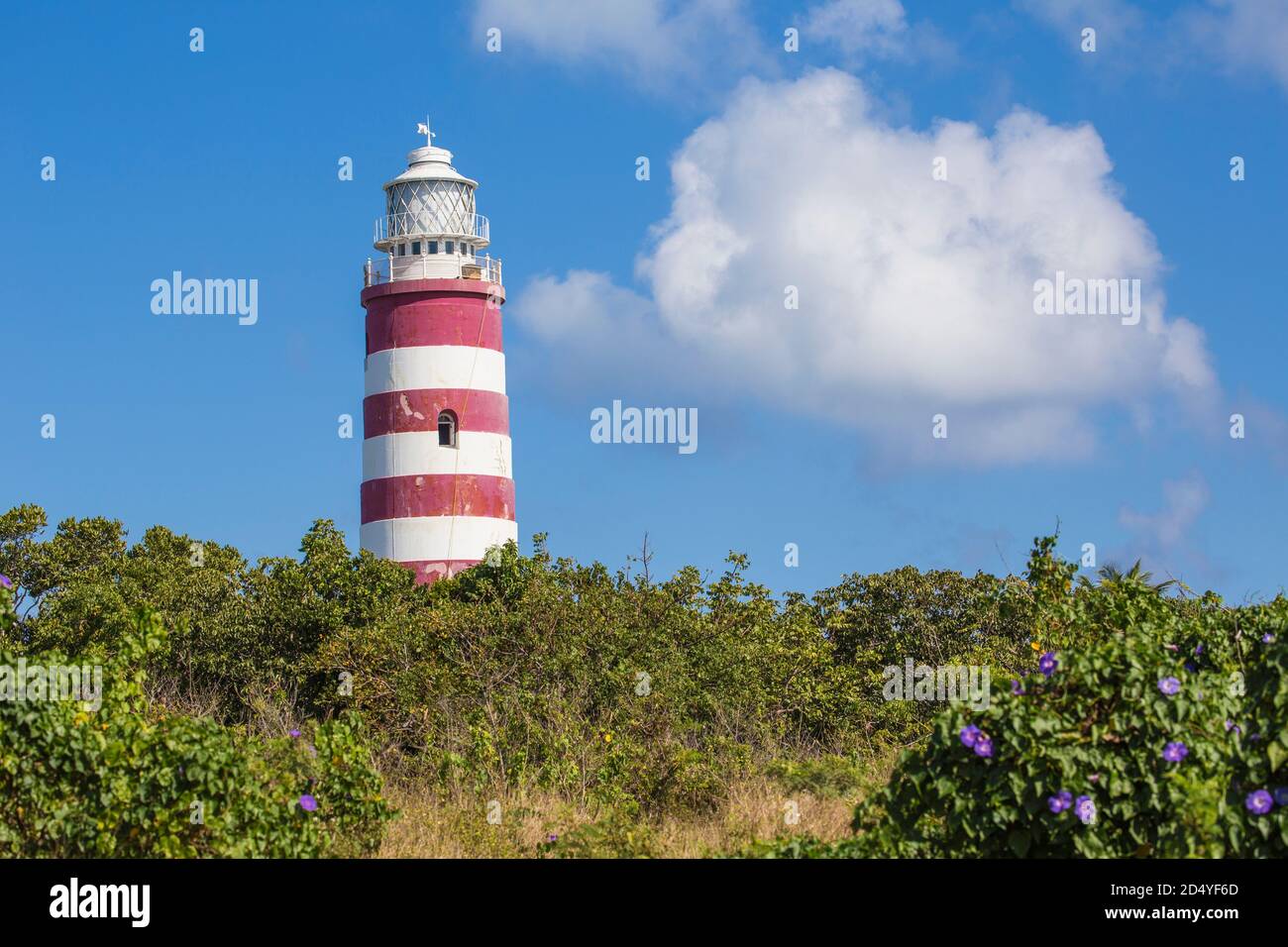 Bahamas, Abaco Islands, Elbow Cay, Hope Town, Elbow Reef Lighthouse - der letzte bemannte Leuchtturm der Welt mit Kerosin Stockfoto