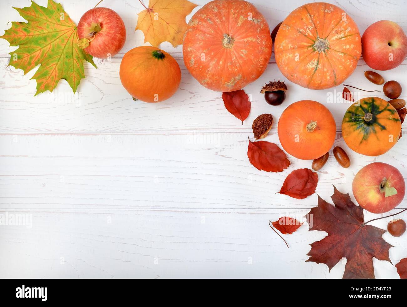 Mehrere kleine Kürbisse und rote Äpfel auf hellem Holzhintergrund mit Herbstblättern. Horizontale Ausrichtung, selektiver Fokus, Kopierbereich, Draufsicht. Stockfoto