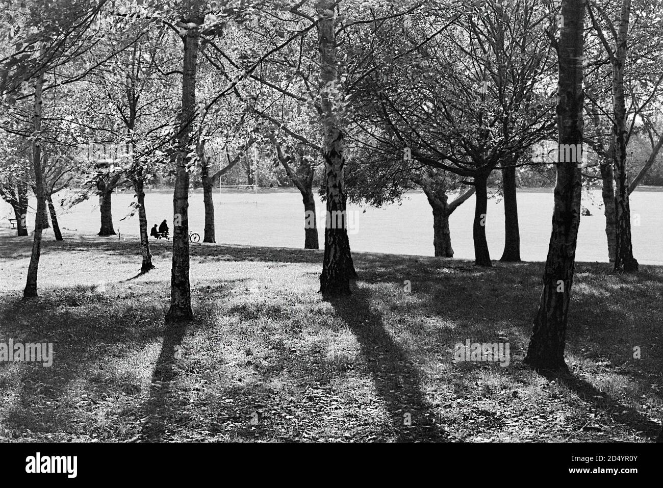 Downhills Park, West Green, North London, Großbritannien, im Frühherbst, mit Sonnenlicht, das durch Bäume scheint Stockfoto