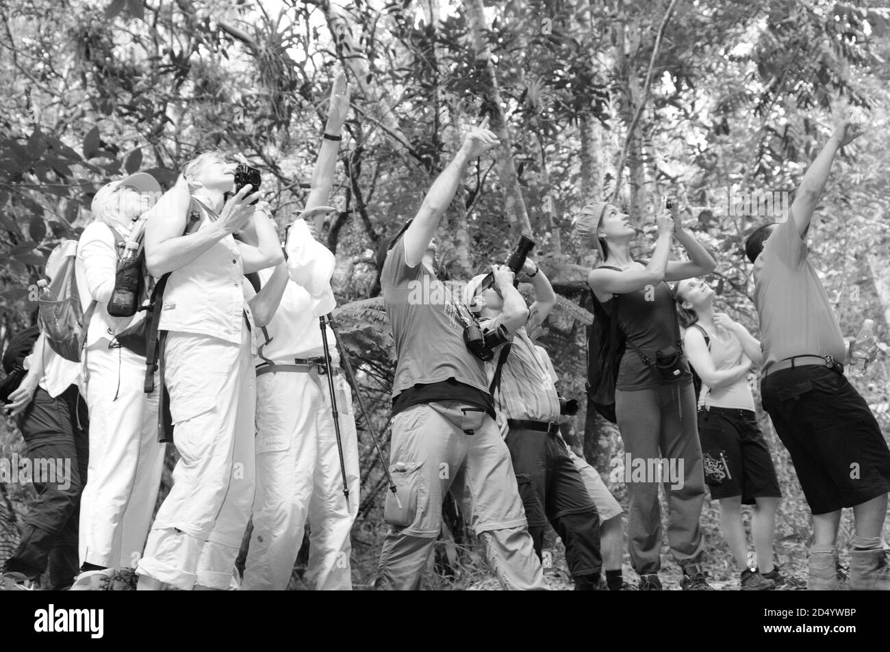 Wanderer an Kuba's Nationalpark Altiplano Topes de Collantes | Stockfoto