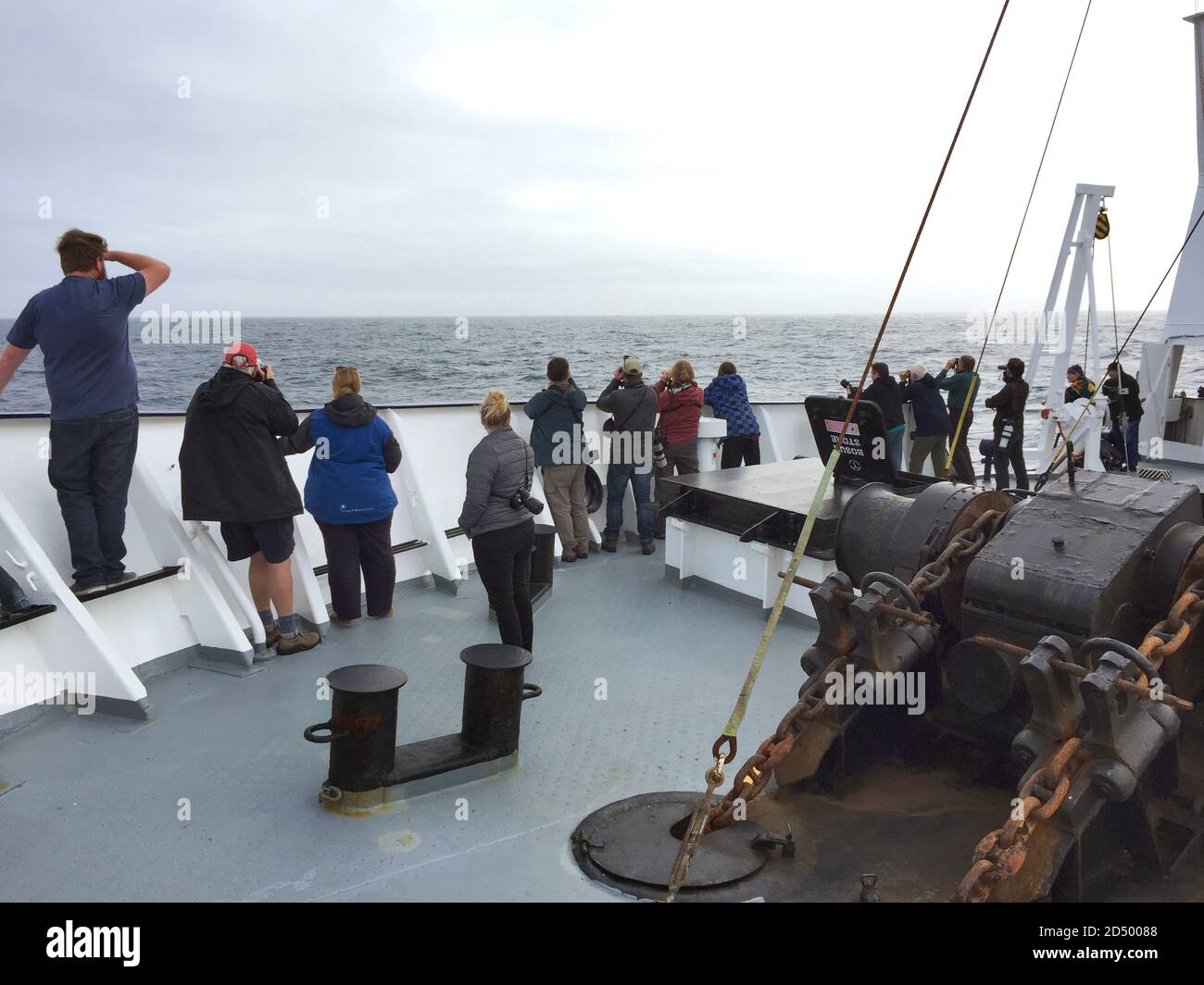 Vogel- und Wildbeobachter am Heck des Expeditionskreuzfahrtschiffes Spirit of Enderby in den subantarktischen Ozeanen, Neuseeland Stockfoto