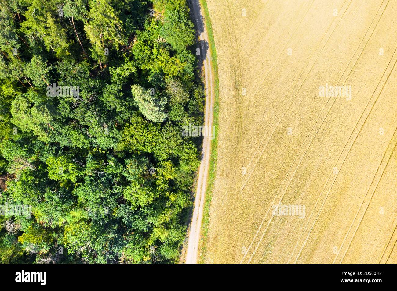 Ein Wald und ein Feld von oben nach unten Stockfoto