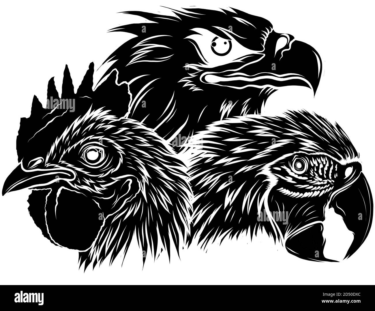 Schwarze Silhouette Papageienadler und Hahn Kopf Vektor Illustration Stock Vektor