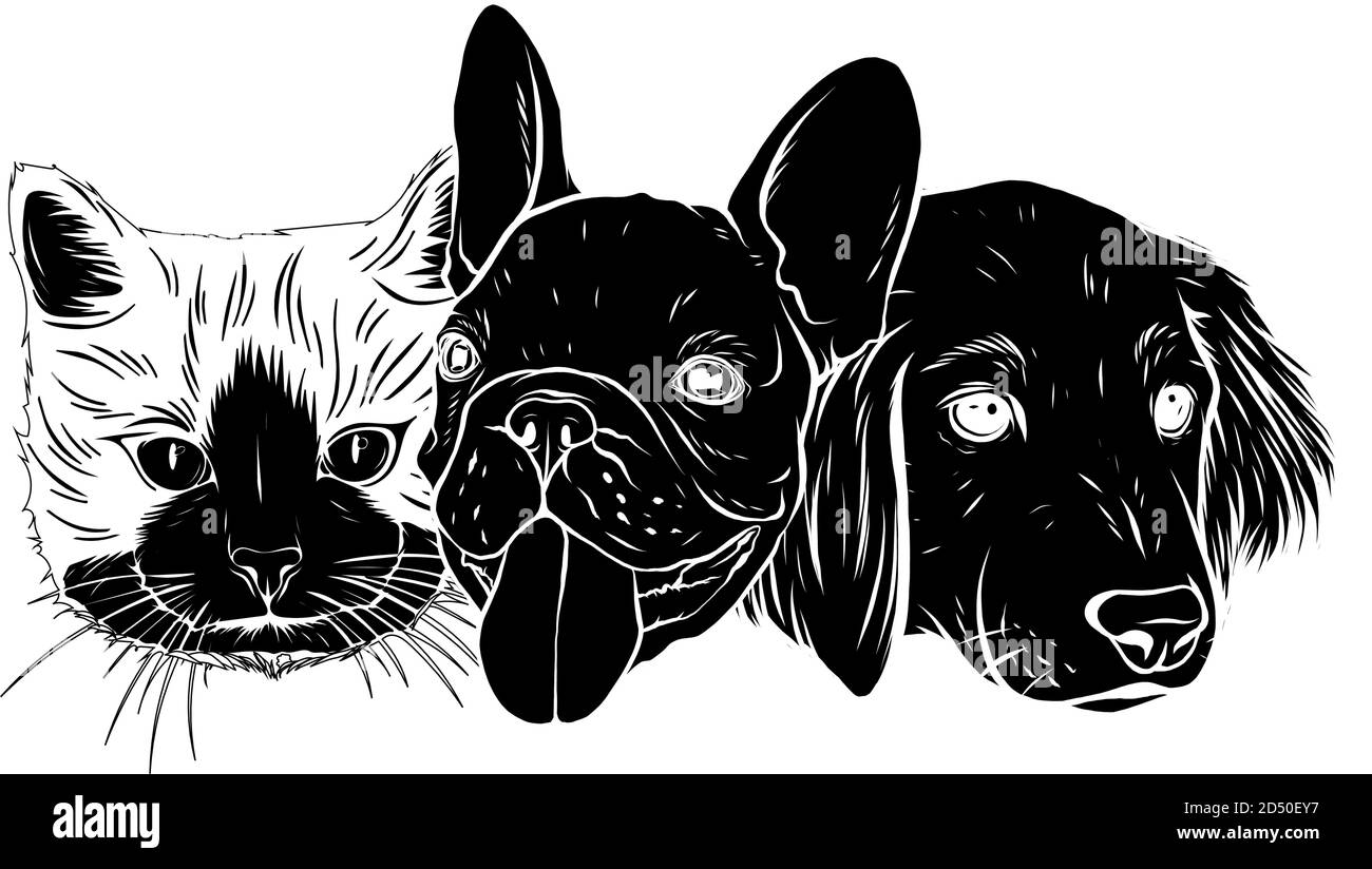 Illustration der besten Freunde überhaupt - schwarze Silhouette Katze und Hundevektor Stock Vektor