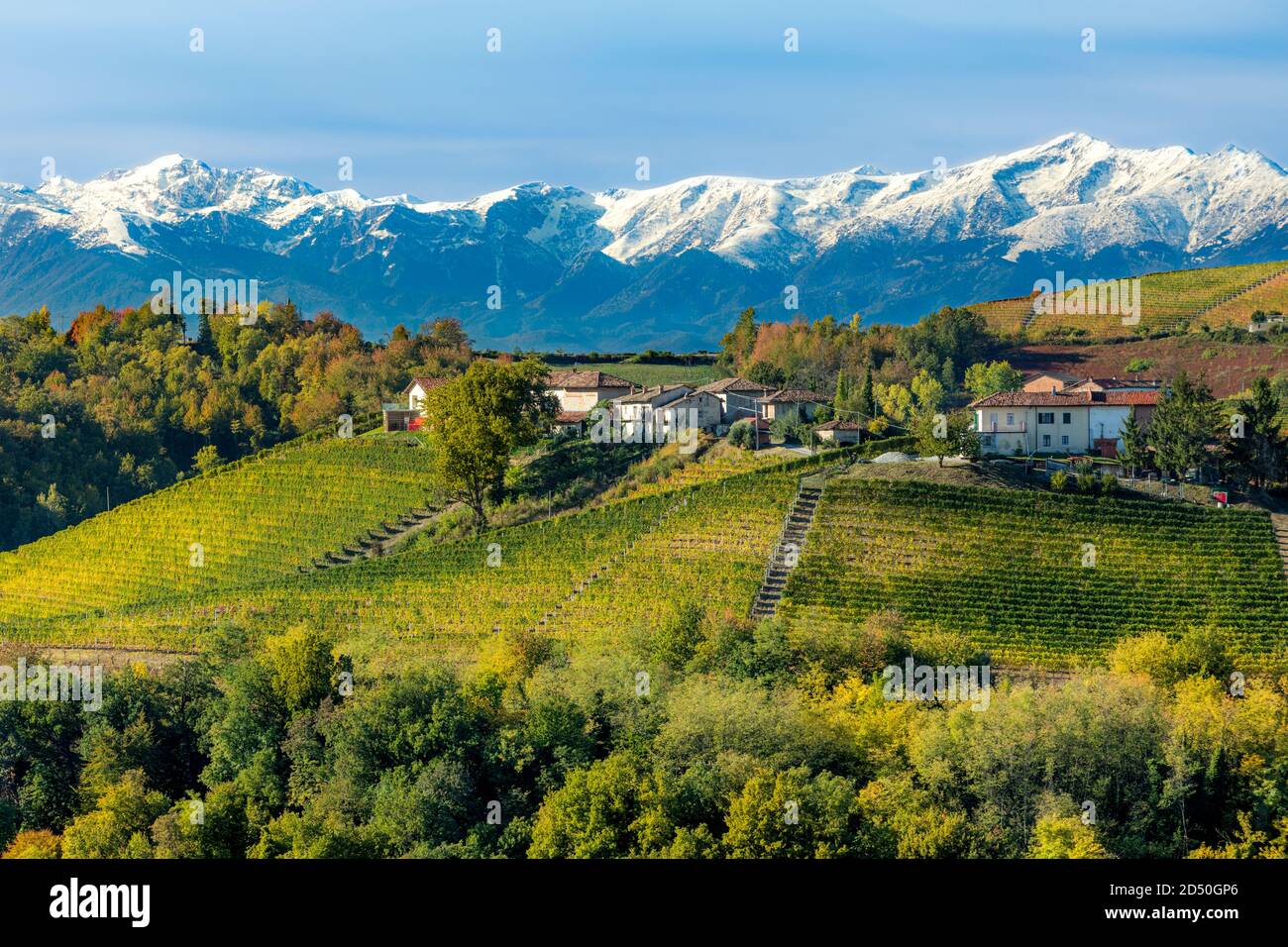 Villen und Weinberge auf einem Hügel in der Nähe von Serralunga d'Alba in der Langhe Region mit den Seealpen jenseits, Cuneo, Piemonte, Italien Stockfoto
