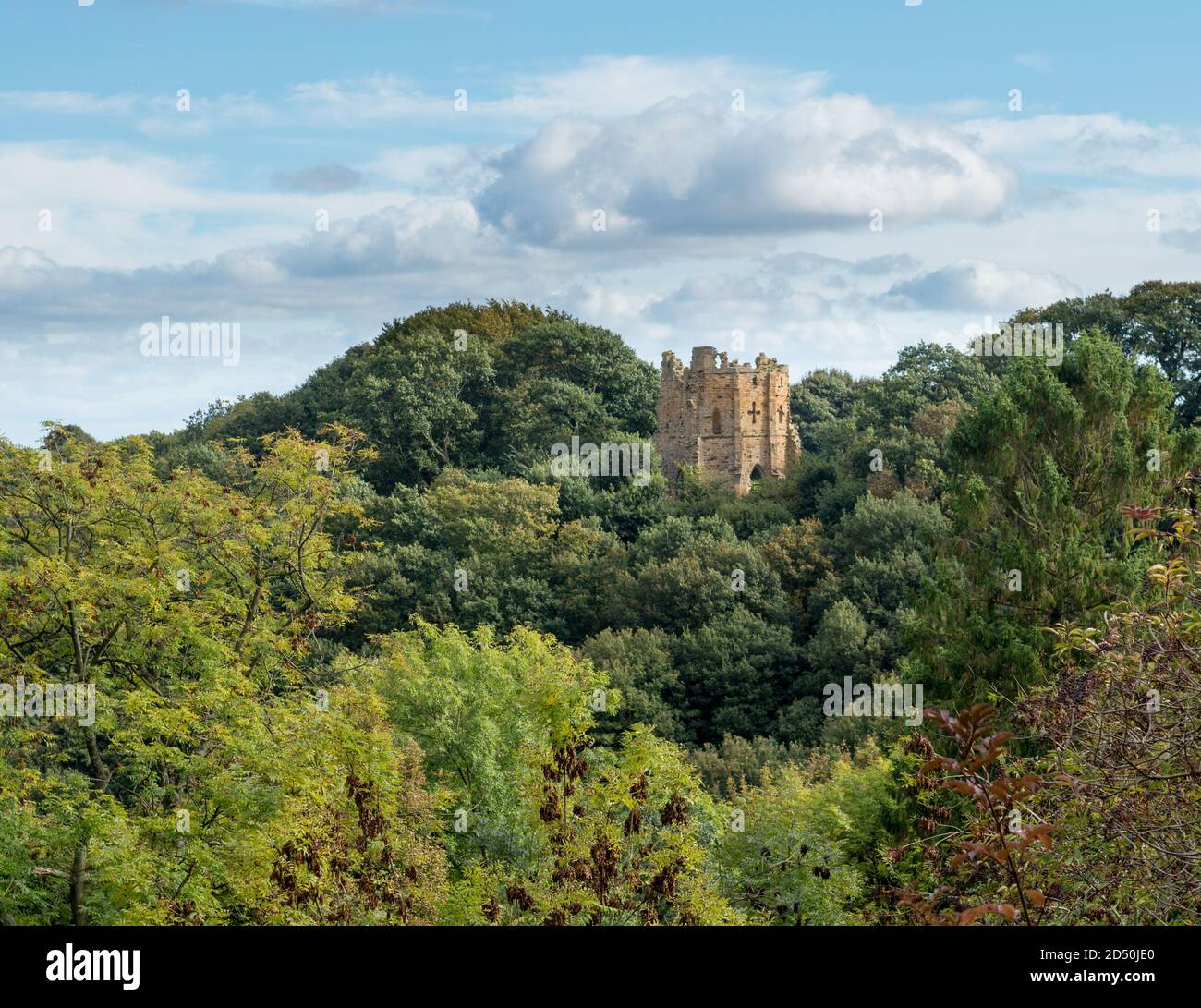 Mowbray Castle, ein aus Stein errichtetes Torfwartwerk in den historischen Hackfall Woods, North Yorkshire Stockfoto