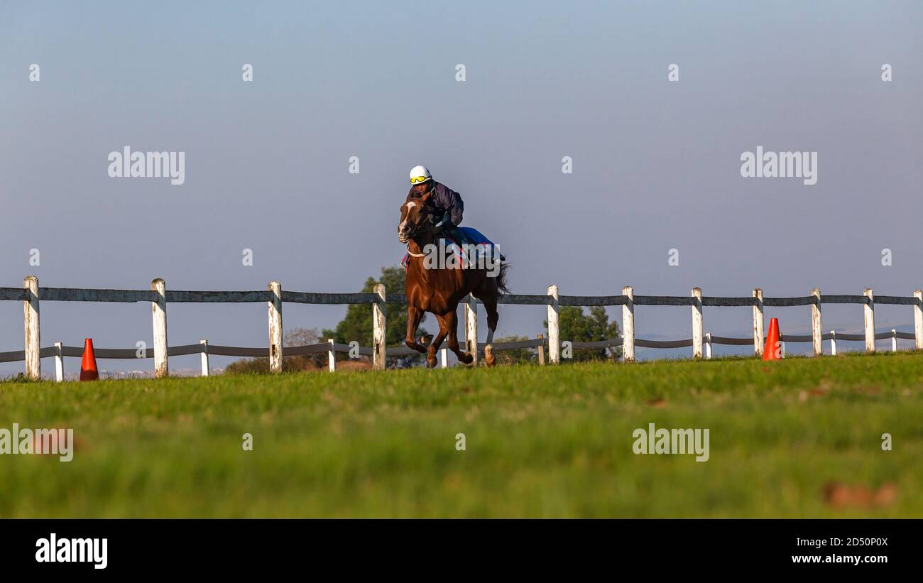 Rennen Pferd Jockey Reiter Training Laufen Aktion eine landschaftlich reizvolle Reiten Landschaft. Stockfoto