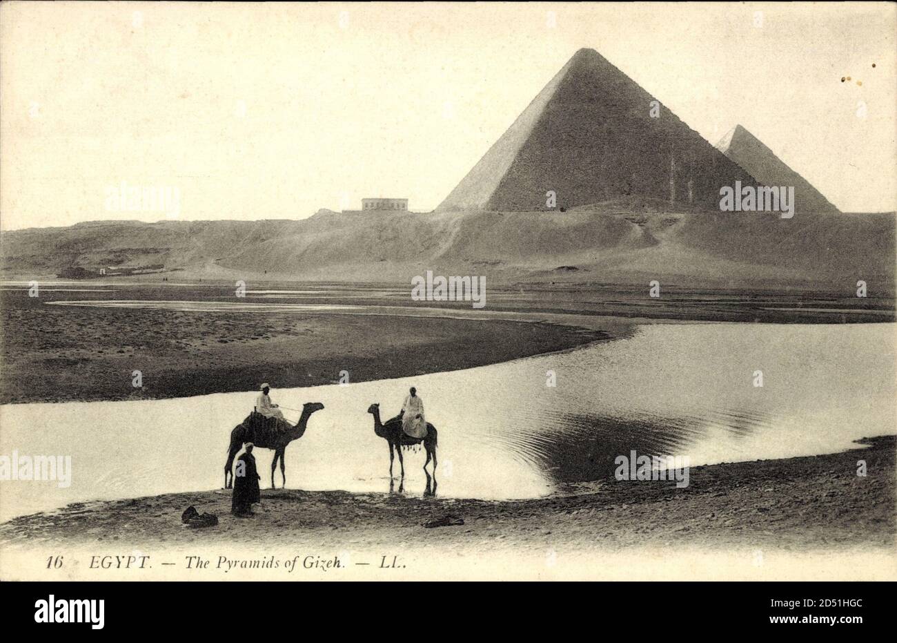 Gizeh Ägypten, Gesamtansicht der Pyramiden, Kamele weltweit Stockfoto