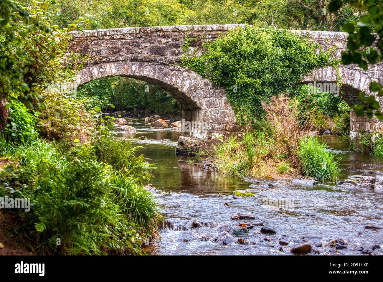 Fingle Bridge, River Teign, Drewsteignton, Dartmoor, Devon, VEREINIGTES KÖNIGREICH Stockfoto