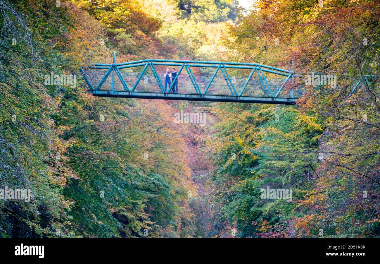 Killiecrankie, Schottland, Großbritannien. 12. Oktober 2020. Herbstfarben auf Bäumen rund um den Fluss Garry an der Garry Bridge in der Nähe von Killiecrankie. Iain Masterton/Alamy Live News Stockfoto