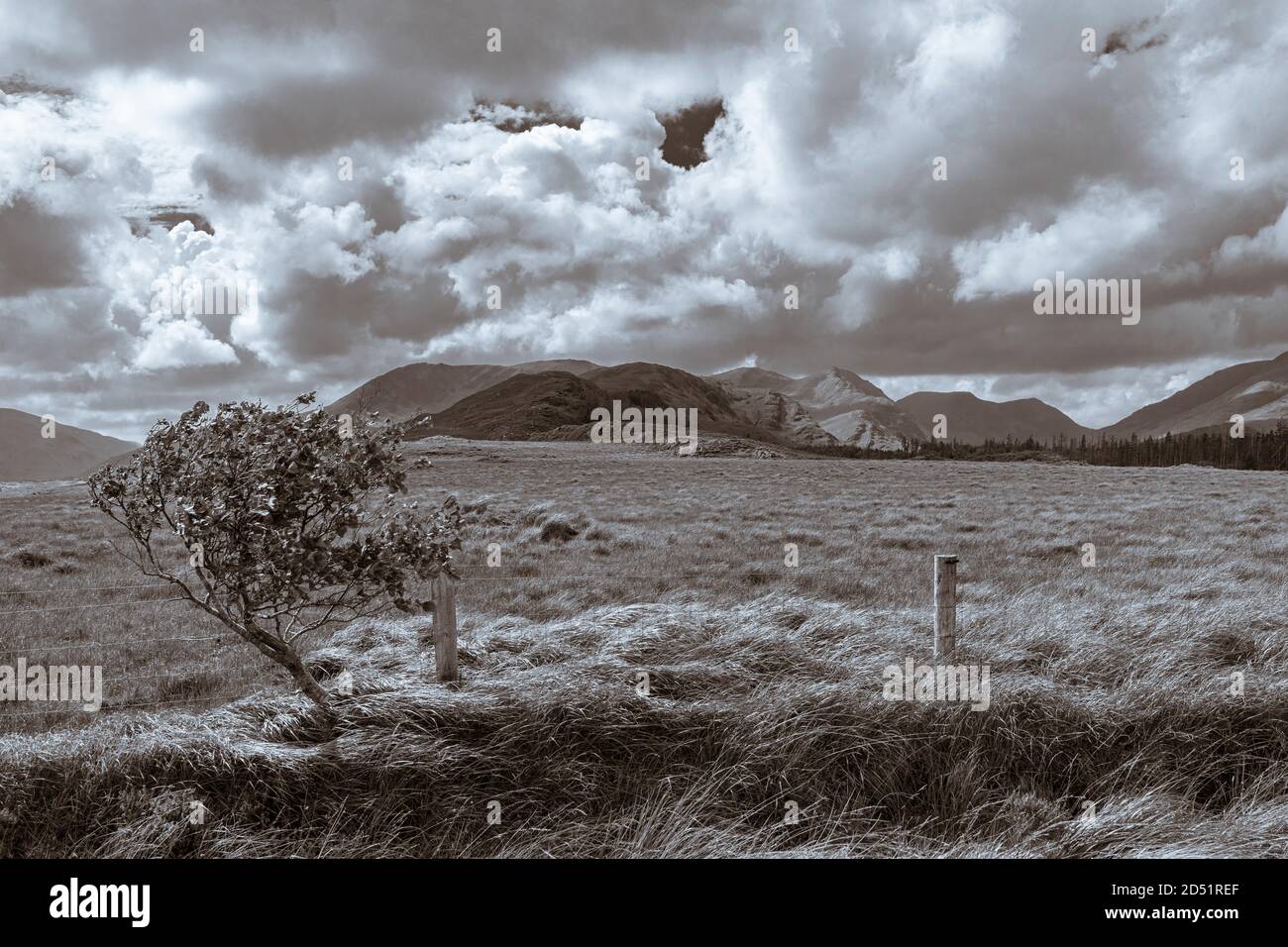 Dramatische Landschaft entlang des westlichen Weges Spaziergang in Tawnyard, County Mayo, Irland Stockfoto