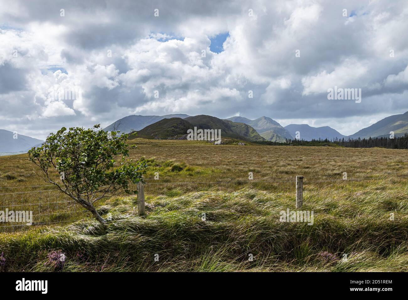 Dramatische Landschaft entlang des westlichen Weges Spaziergang in Tawnyard, County Mayo, Irland Stockfoto