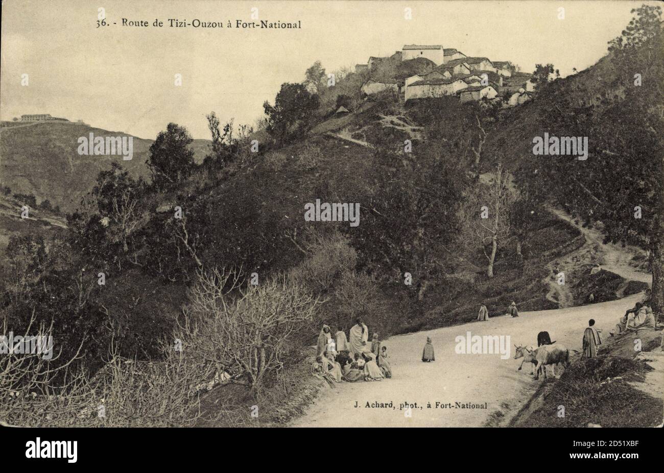 Tizi Ouzou in Algerien, Route de Tizi Ouzou a Fort National, Kälber auf