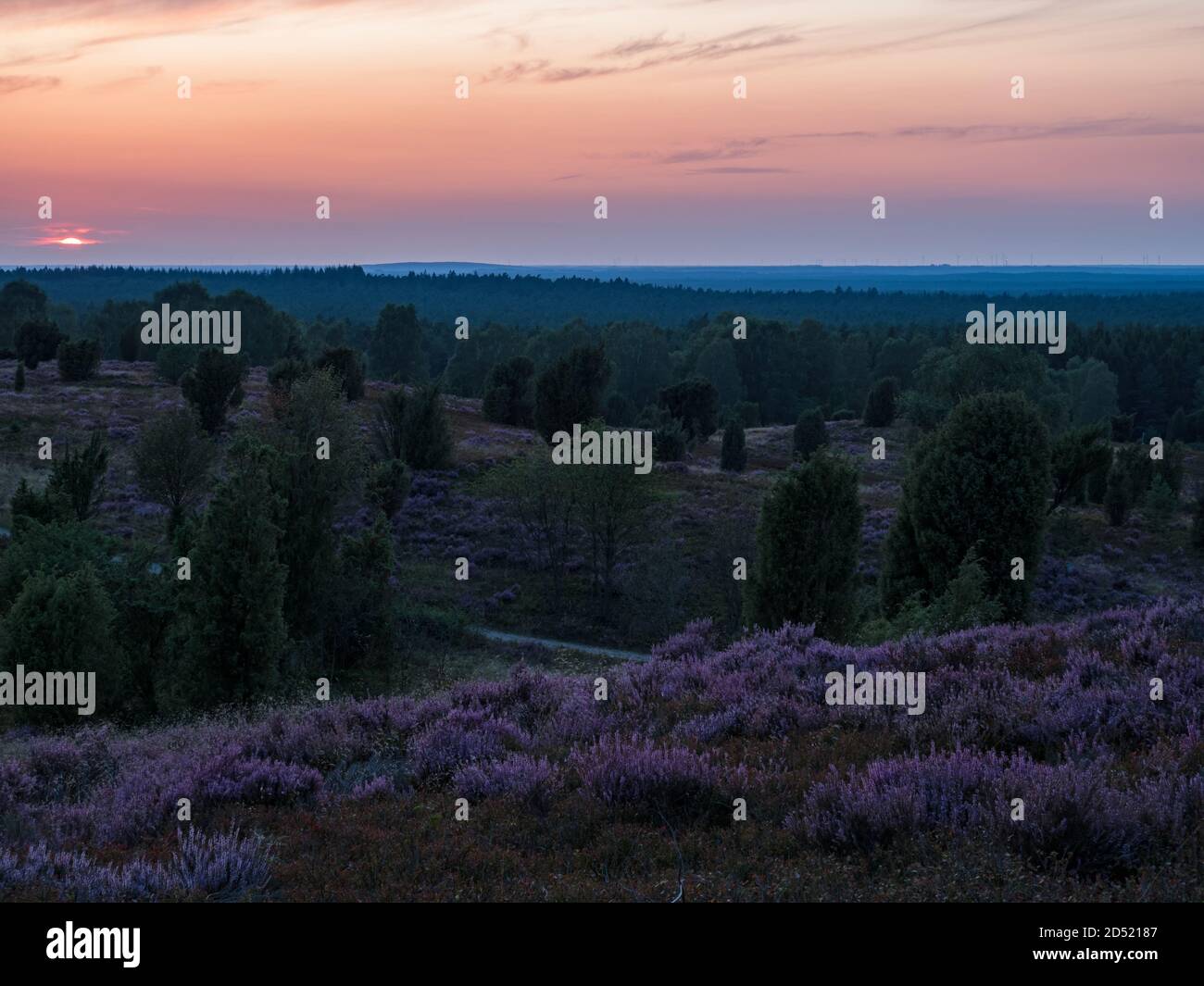 Blick vom Wilsede Hügel durch die Landschaft der Lüneburger Heide bei Sonnenuntergang, Niedersachsen, Deutschland Stockfoto