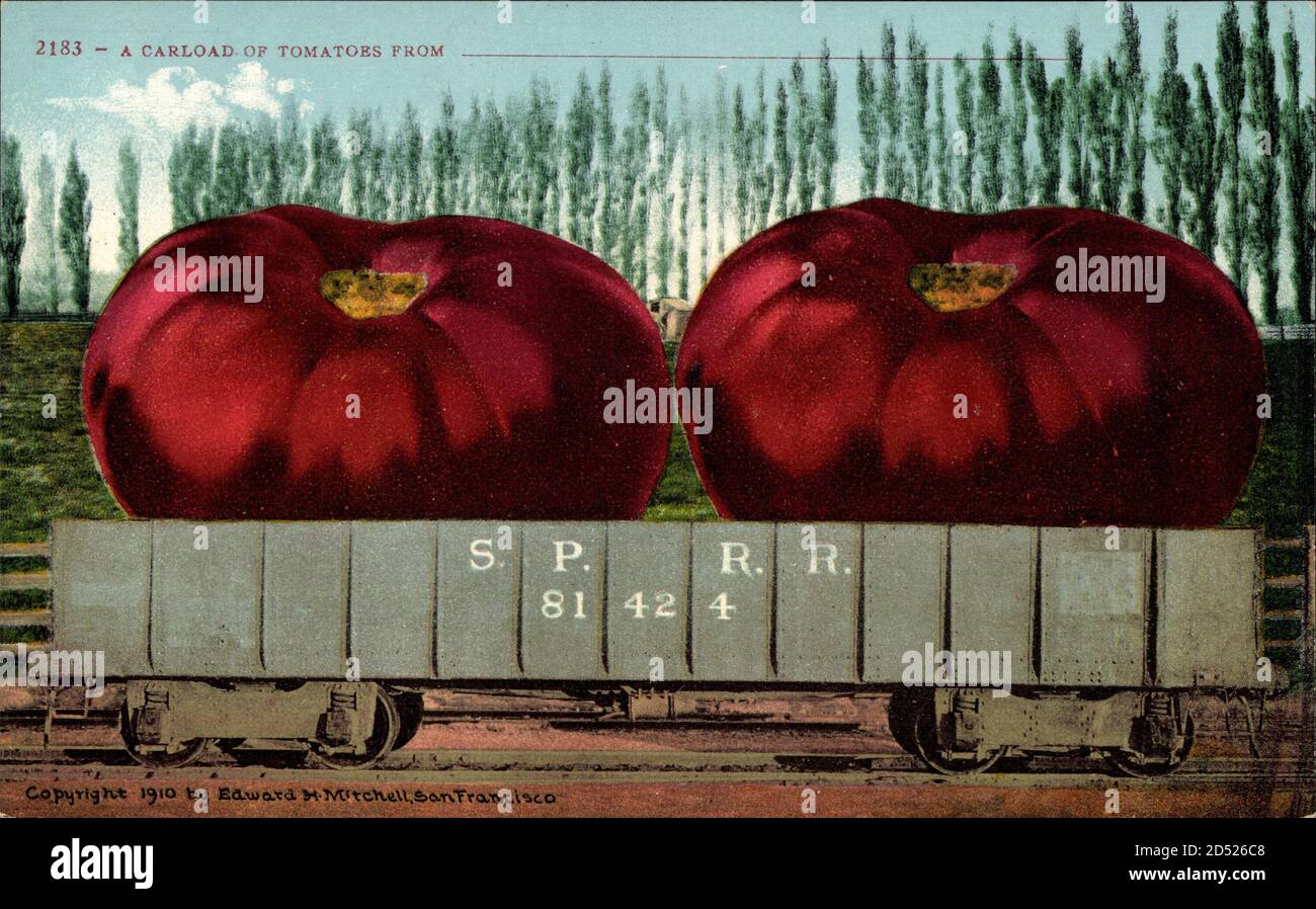 Eine Ladung Tomaten, S.P.R.R. 81 42 4, Tomaten, Eisenbahnwagon, USA - weltweite Nutzung Stockfoto