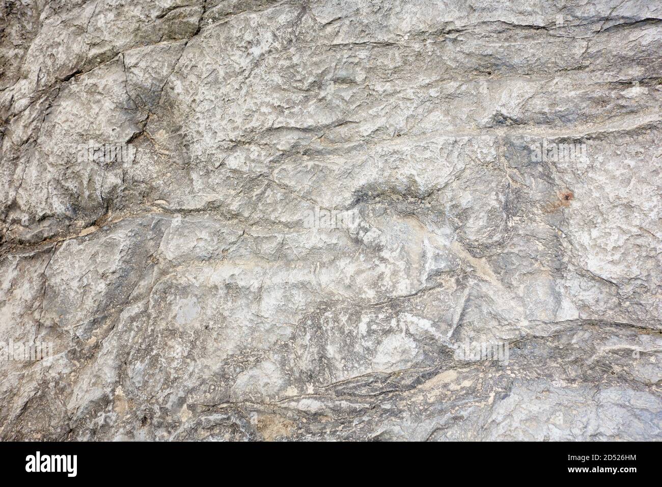 Echte fossile Dinosaurier Spuren auf einem versteinerten Flussbett ausgesetzt. Asturien. Spanien. Stockfoto