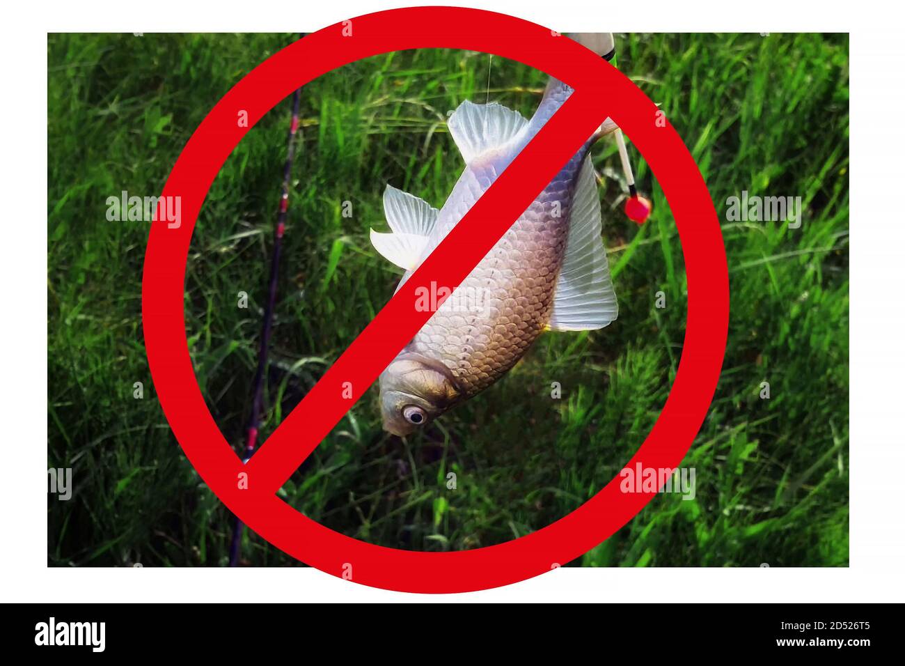 Verbot der Fischerei, Verhinderung der Wilderei. Durchgestrichenes Schild mit einem Fisch in der Hand. Verbot des Konzepts der Fischerei. Stockfoto